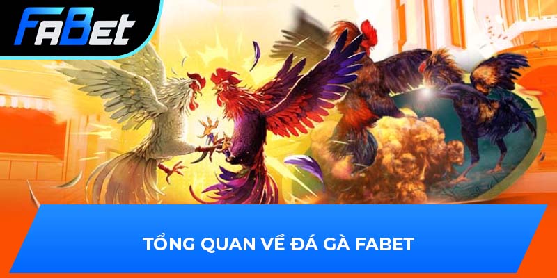 Tổng quan về đá gà Fabet